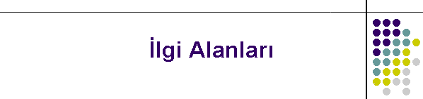 lgi Alanlar